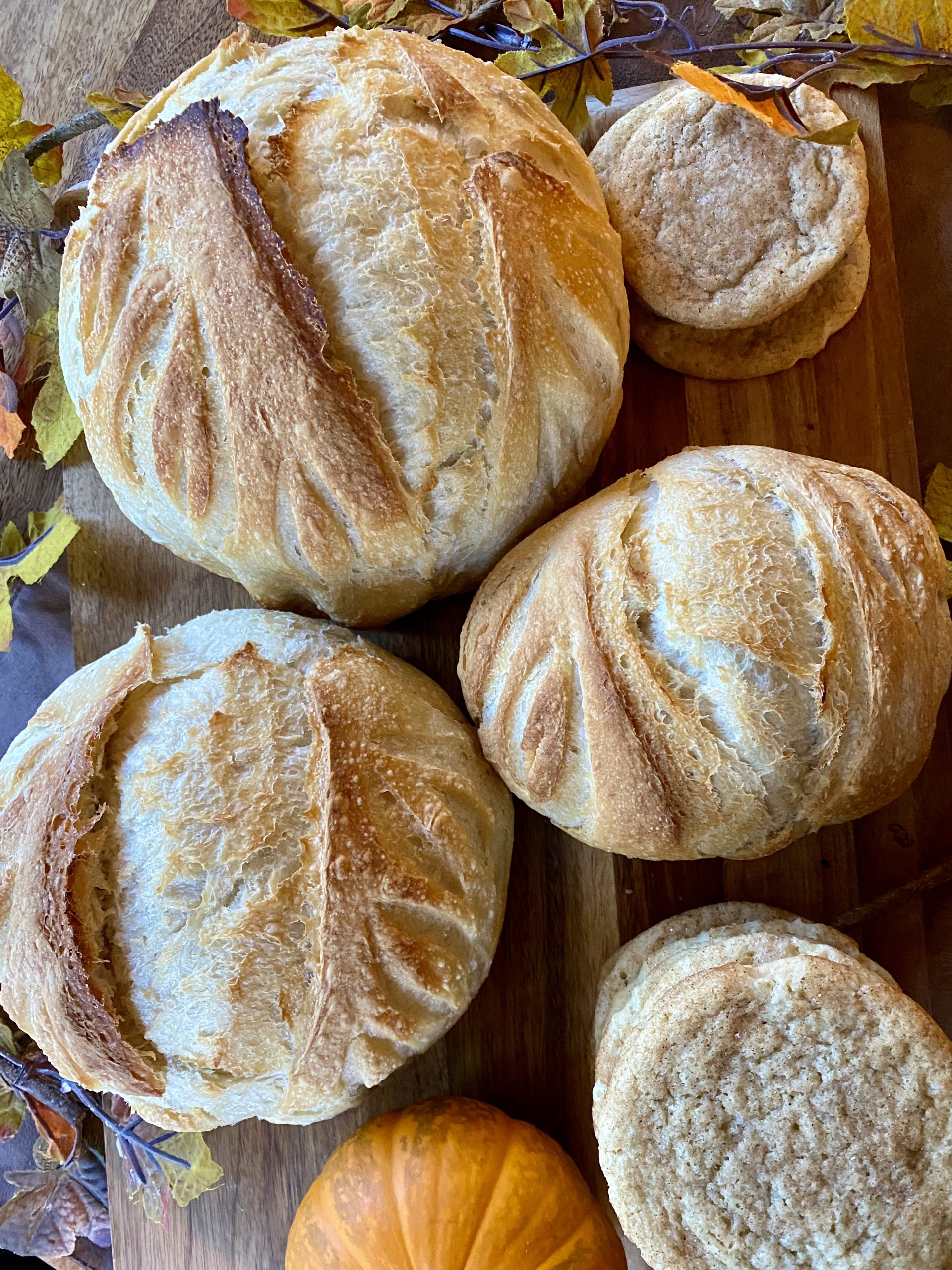Sourdough perfection!